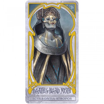 Lady Stirling's Wicked Garden orakulo kortų ir knygos rinkinys US Games Systems